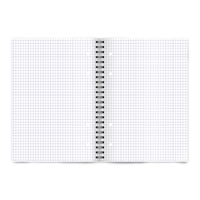 Kołozeszyt A4 80k kratka COLORS 400169233 TOP 2000