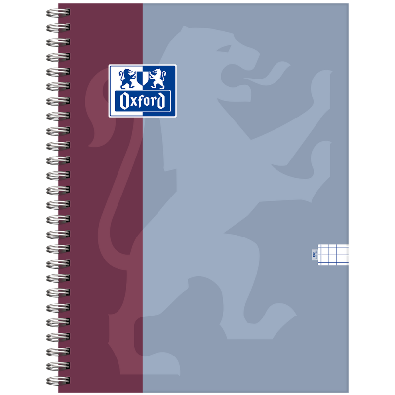 Kołozeszyt B5 100k kratka B-YOU 400208498 OXFORD