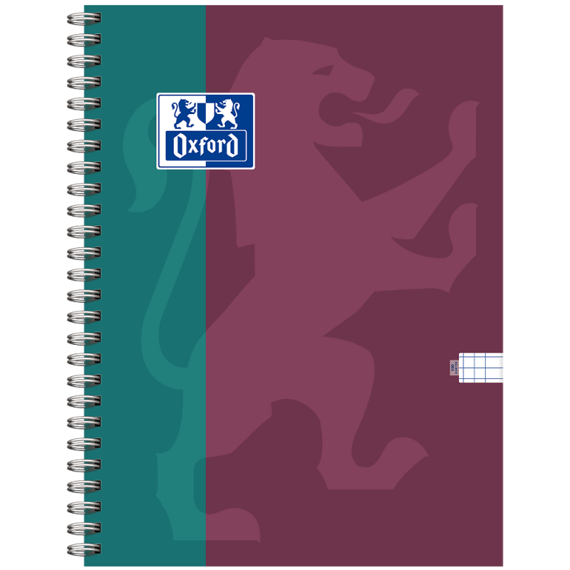 Kołozeszyt B5 100k kratka B-YOU 400208498 OXFORD