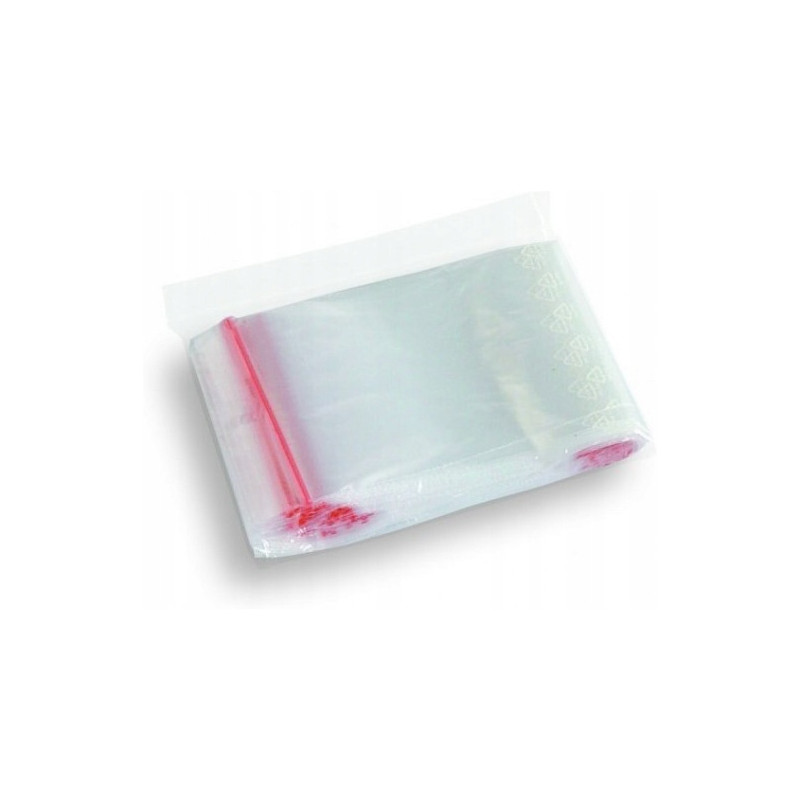 Torebki strunowe 250x300mm (100szt) SW0130/20