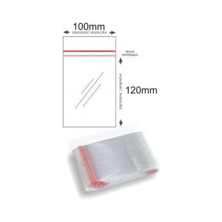 Torebki strunowe 100x120mm (100szt) (B3-SW-0065)