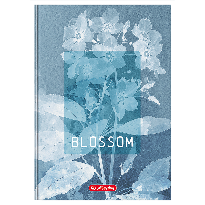 Brulion A5 96k kratka z marginesem BLOSSOM 400206436 HERLITZ