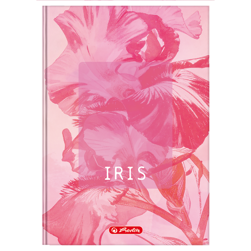 Brulion A5 96k kratka z marginesem BLOSSOM 400206436 HERLITZ