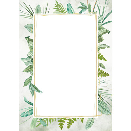 Dyplom A4 BOTANIC 170g (25ark) 219617 GALERIA PAPIERU