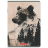 Zeszyt A5 60k kratka z marginesem WILD 400206388 HERLITZ