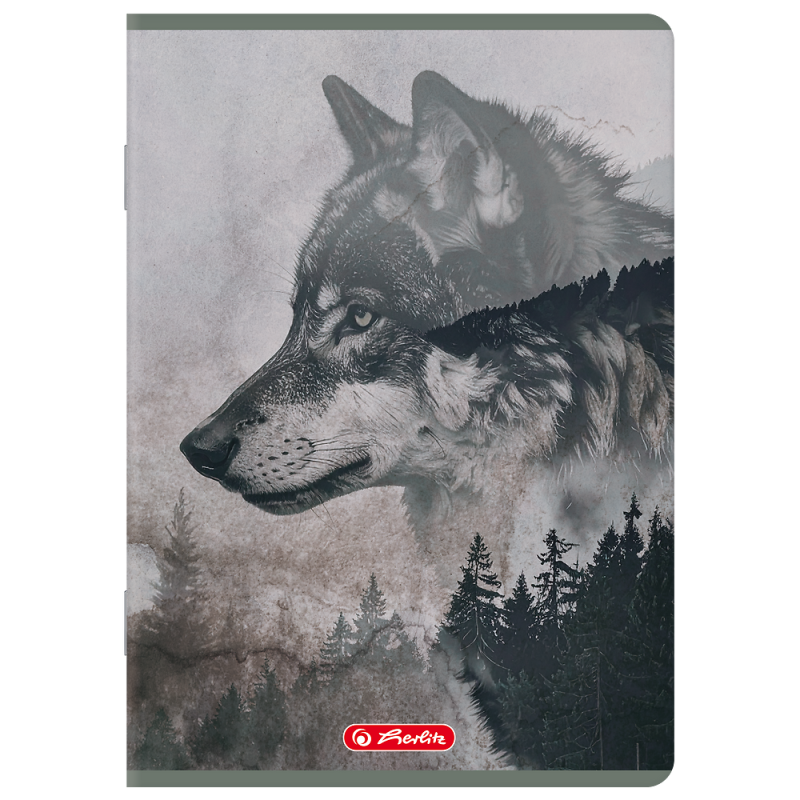 Zeszyt A5 60k kratka z marginesem WILD 400206388 HERLITZ