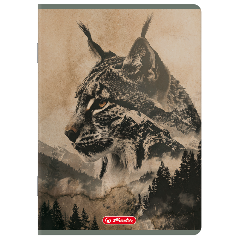 Zeszyt A5 60k kratka z marginesem WILD 400206388 HERLITZ