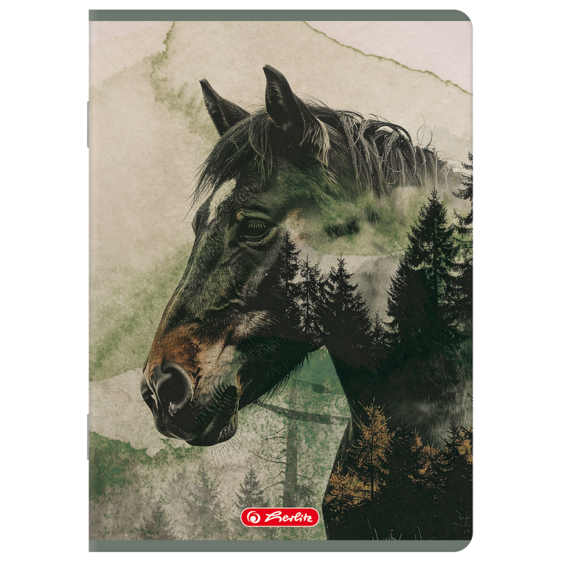 Zeszyt A5 60k linia z marginesem WILD 400206389 HERLITZ