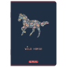 Zeszyt A5 60k linia z marginesem mix 400206346 HERLITZ