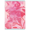 Zeszyt A5 60k kratka z marginesem BLOSSOM 400206384 HERLITZ