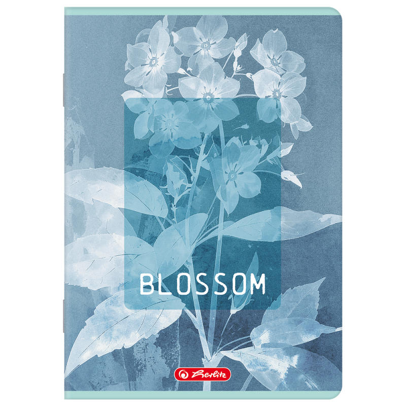 Zeszyt A5 60k linia z marginesem BLOSSOM 400206386 HERLITZ