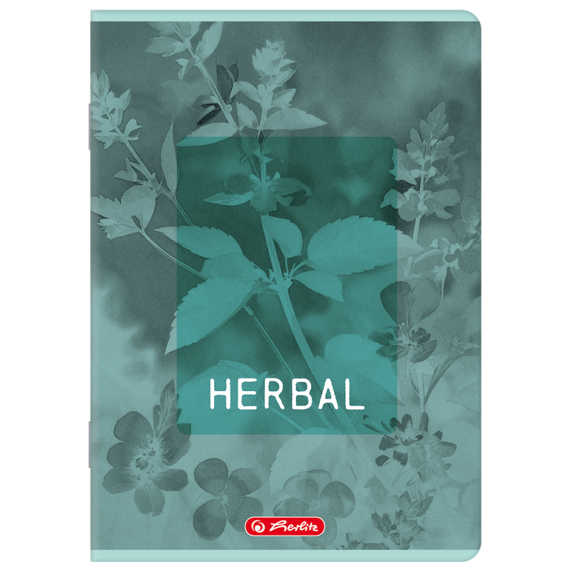 Zeszyt A5 60k linia z marginesem BLOSSOM 400206386 HERLITZ