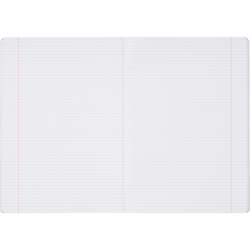 Zeszyt A5 80k kratka z marginesem RAINBOW 400197906 HERLITZ