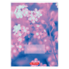 Zeszyt A5 96k kratka z marginesem mix 400206359 HERLITZ