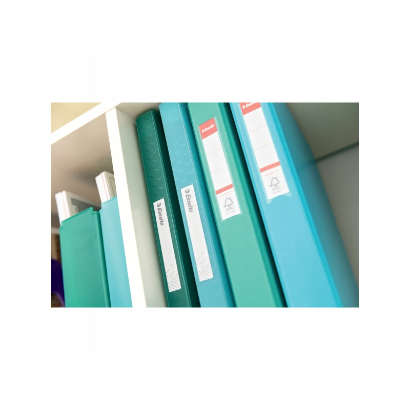 Album ofertowy na dokumenty A4 80 kieszeni Colour`Breeze zielony 626238 ESSELTE