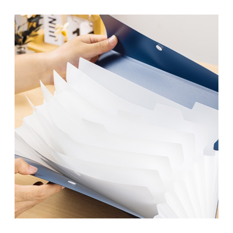 Teczka ofertowa A4 8 przegródek Linfini Expanding File mix kolorów EF606 DELI