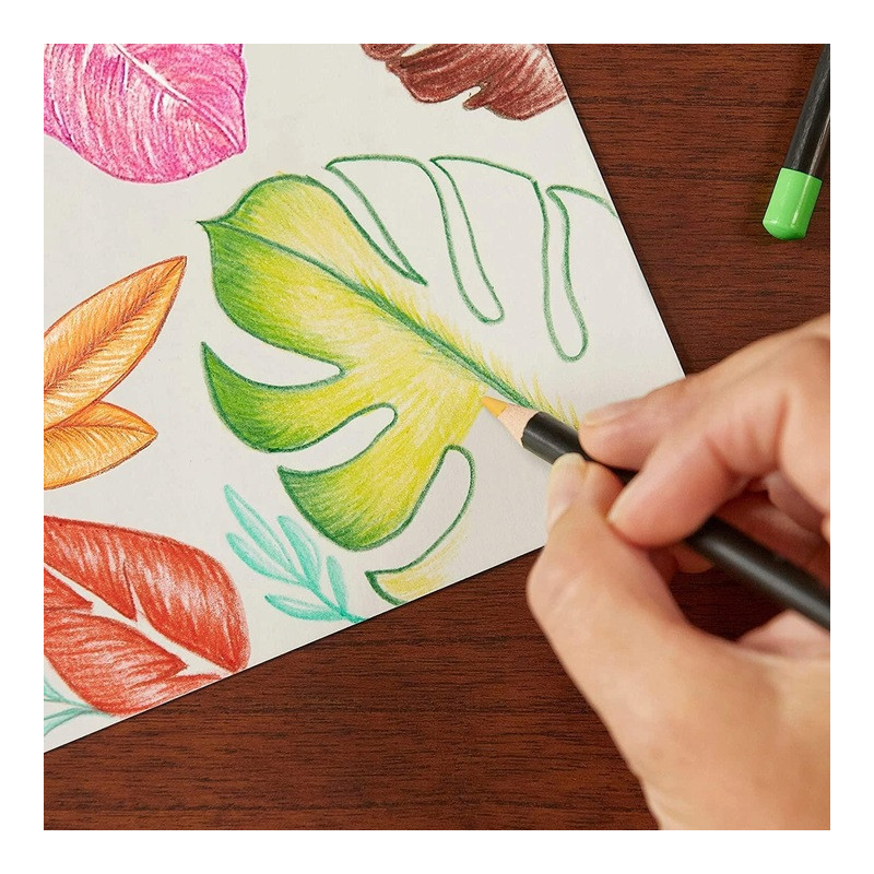 Kredki ołówkowe 36 kolorów INTENSITY Premium metalowe opakowanie 510022 BIC