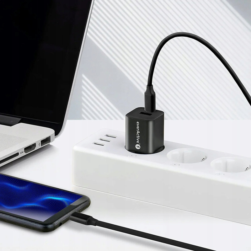 Kabel USB-C - USB-C 1m 5A 100W 10Gbps czarny EVERACTIVE (CBS-1CCD)