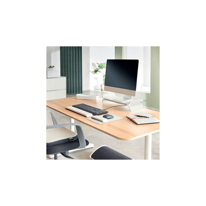 Podstawka pod monitor Ergo jasnoszara 65040085 LEITZ