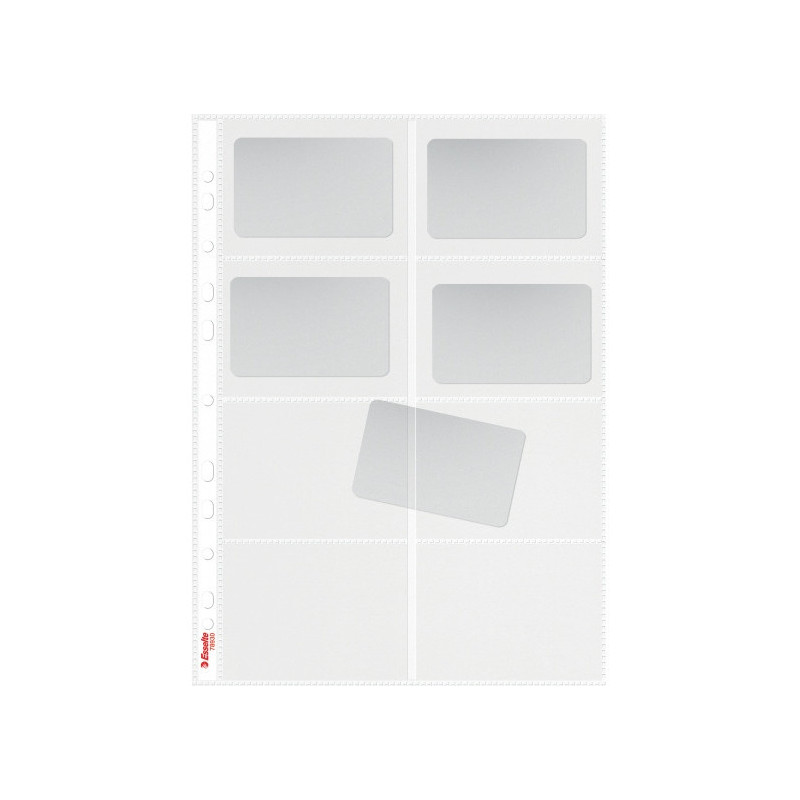 Koszulki z 8 kieszonkami na wizytówki A4 105mic 10 sztuk 78930 ESSELTE