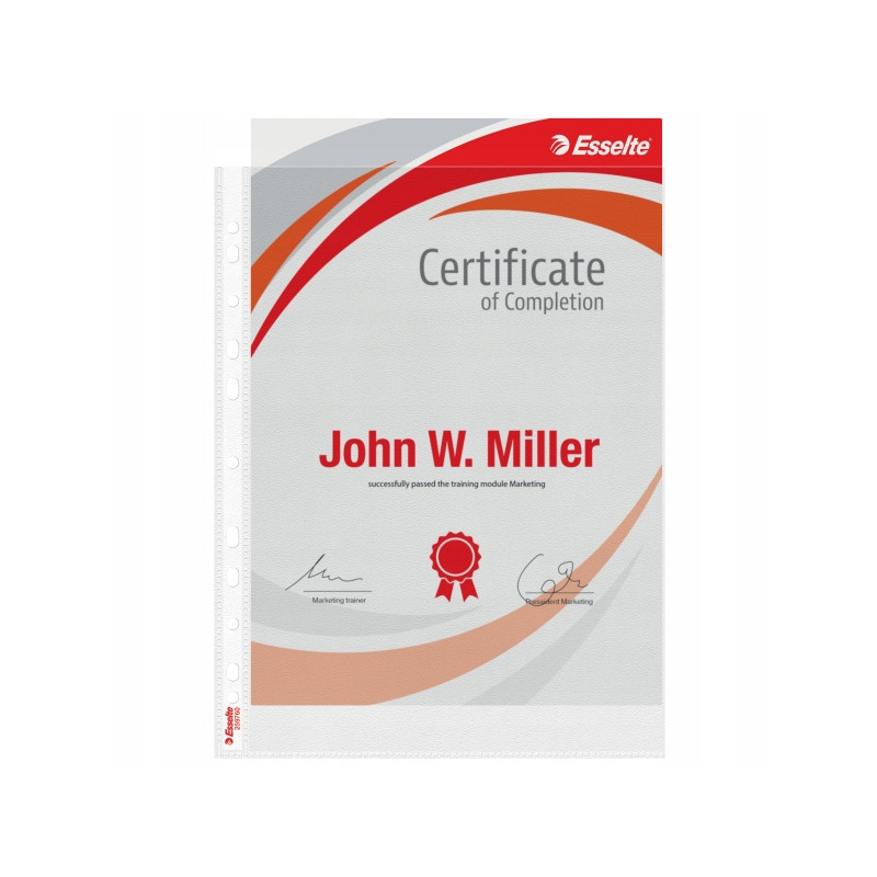 Koszulki groszkowe na dokumenty A4 MAXI 100mic 25 sztuk 259760 ESSELTE