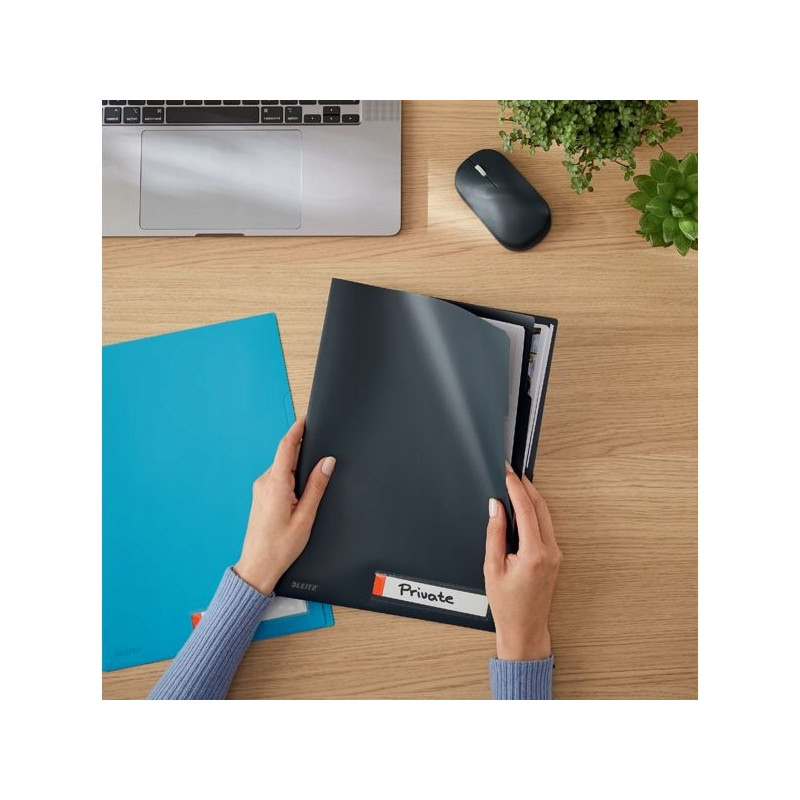 Folder A4 z 3 przegródkami, szary 47160089 LEITZ