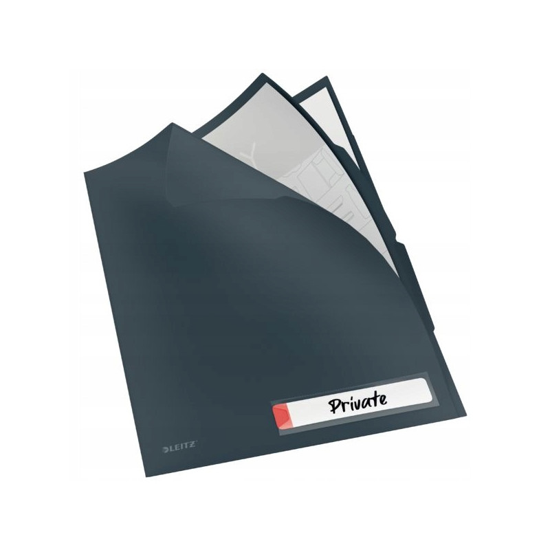 Folder A4 z 3 przegródkami, szary 47160089 LEITZ