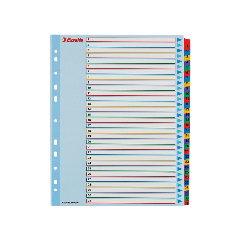 Przekładki kartonowe MYLAR A4 MAXI 1-31 ESSELTE 100210