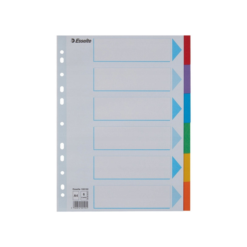 Przekładki karton A4 6 kart ESSELTE 100192 kolorowe z kartą opisową