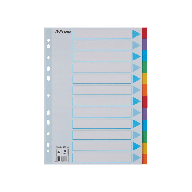 Przekładki kolorowy karton z kartą opisową A4 100194 12 kart ESSELTE