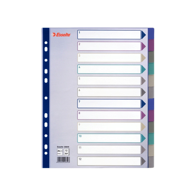 Przekładka PP A4 MULTICOLOR 12kart 20649 MAXI ESSELTE