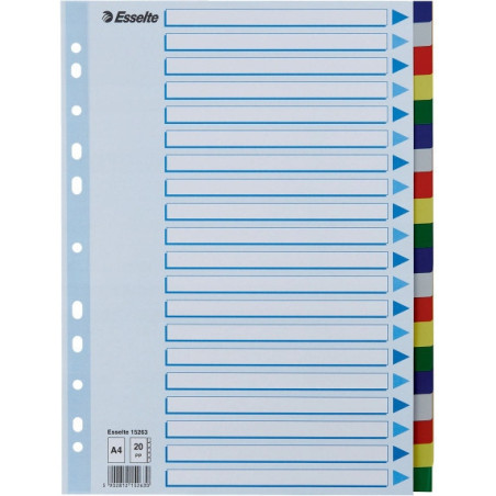 Przekładki plastikowe z PP A4 20 kart 15263 ESSELTE