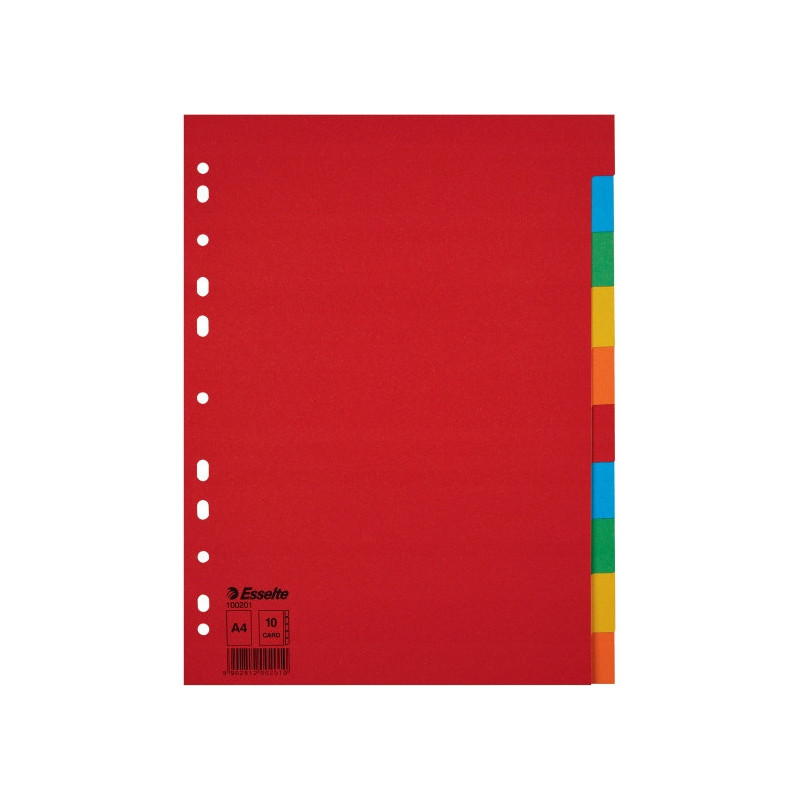 Przekładki karton A4 10 kart ESSELTE 100201 kolorowe bez karty opisowej
