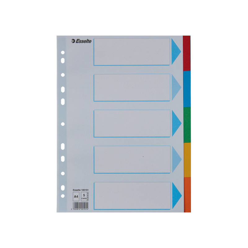Przekładki karton A4 5 kart ESSELTE 100191 kolorowe z kartą opisową
