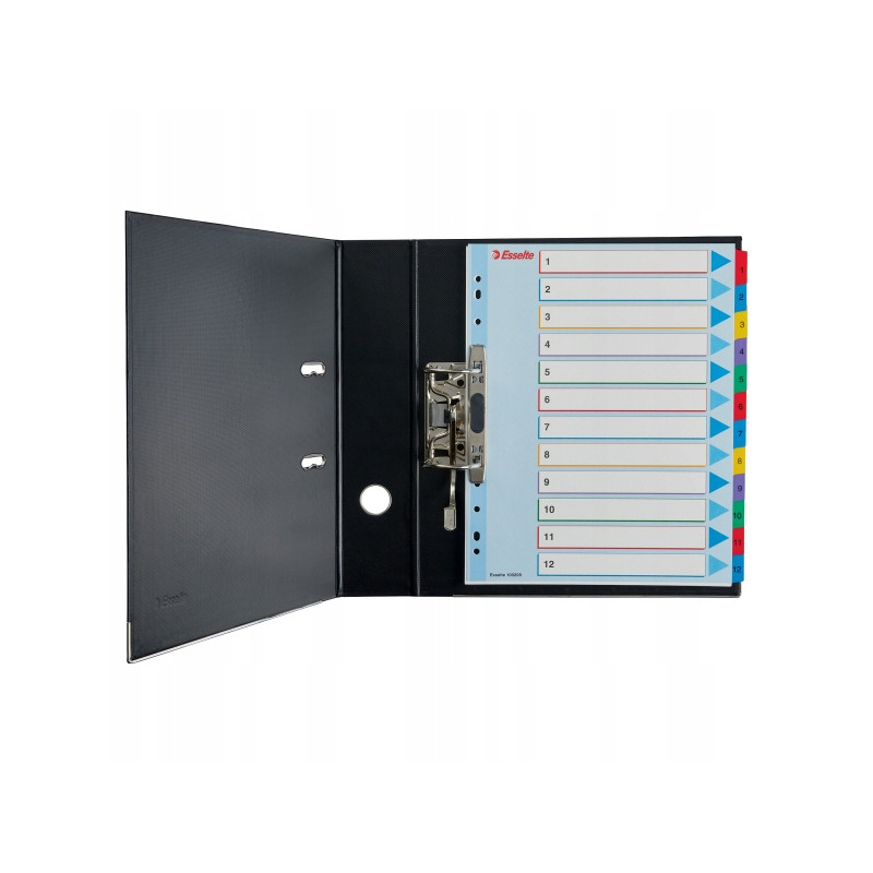 Przekładki kartonowe MYLAR A4 MAXI 1-5 ESSELTE 100207