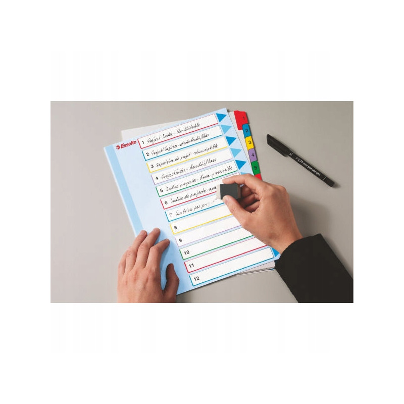 Przekładki kartonowe MYLAR A4 MAXI 1-5 ESSELTE 100207