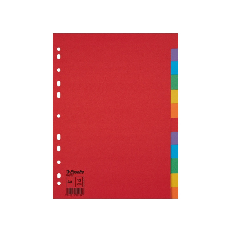 Przekładki karton A4 12 kart ESSELTE 100202 kolorowe bez karty opisowej