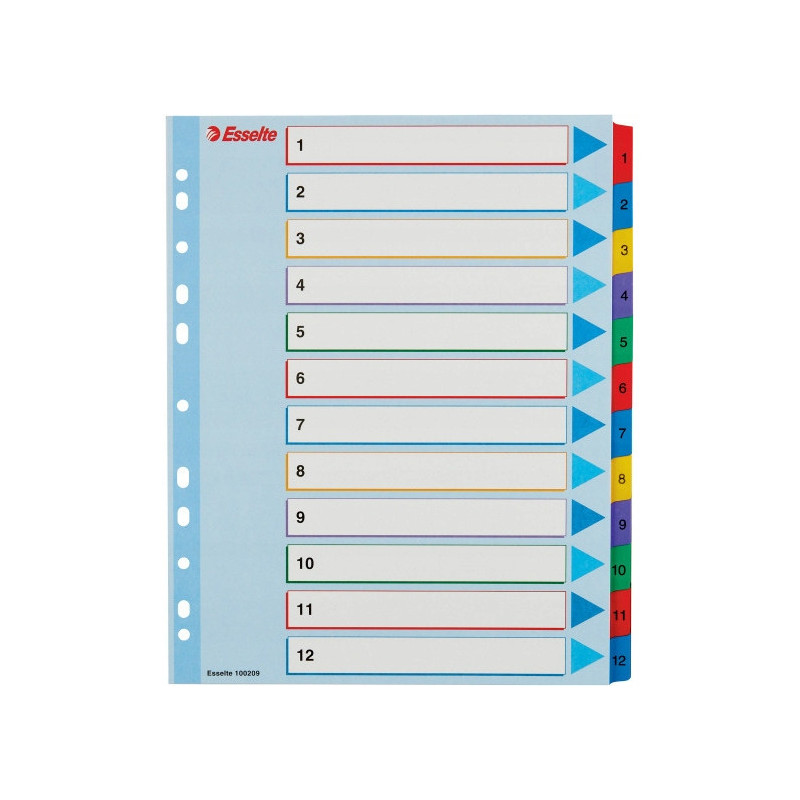Przekładki kartonowe MYLAR A4 MAXI 1-12 ESSELTE 100209