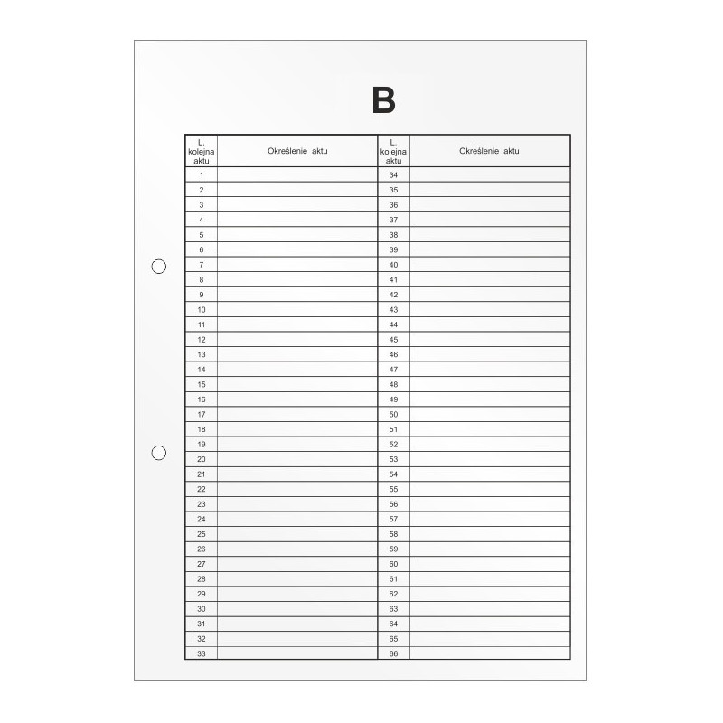 Przekładki do akt osobowych B Wkład do segregatora 10 arkuszy DRU-055B BIURFOL