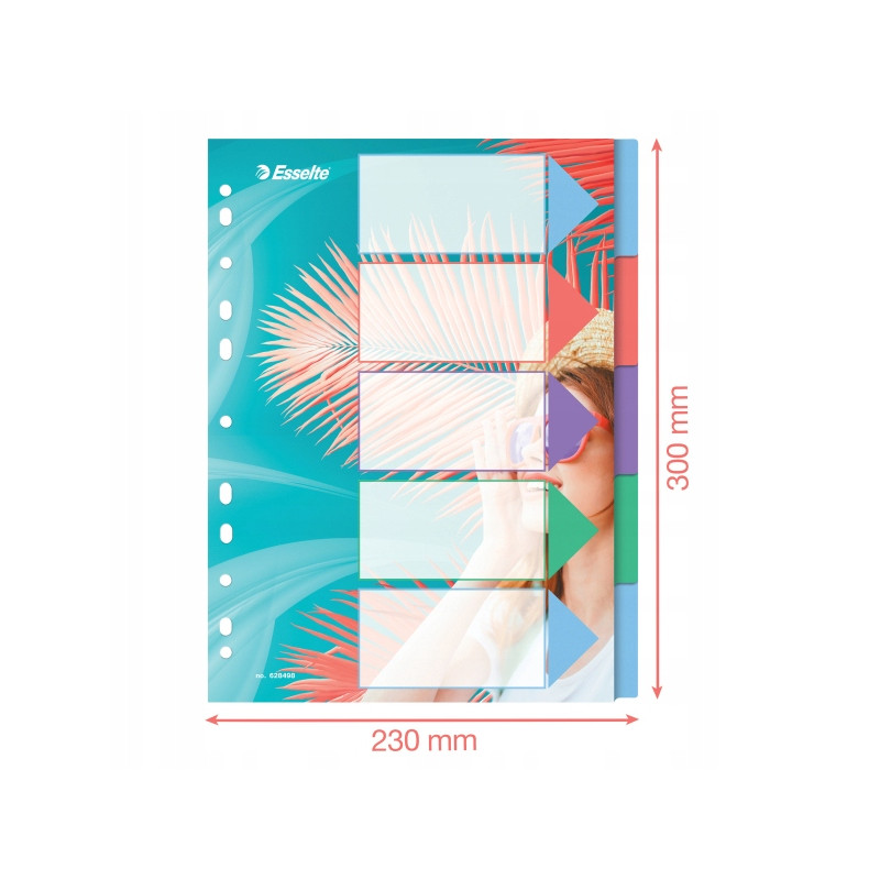Przekładki Colour`Breeze PP A4 5 przekładek 628498 ESSELTE