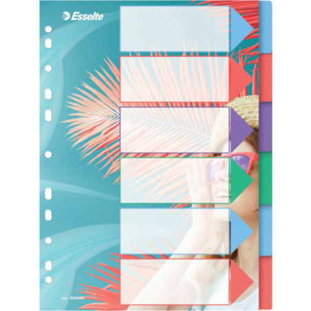 Przekładki Colour`Breeze PP A4 6 przekładek 628499 ESSELTE