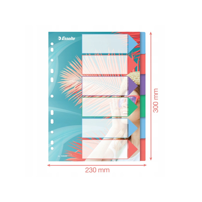 Przekładki Colour`Breeze PP A4 6 przekładek 628499 ESSELTE
