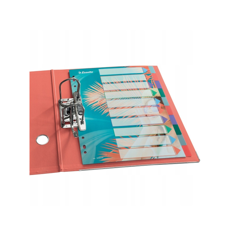 Przekładki Colour`Breeze PP A4 10 przekładek 628500 ESSELTE