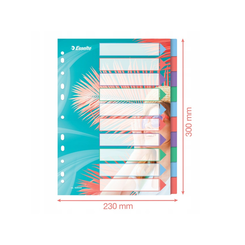 Przekładki Colour`Breeze PP A4 10 przekładek 628500 ESSELTE