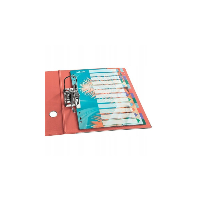 Przekładki Colour`Breeze PP A4 12 przekładek 628501 ESSELTE