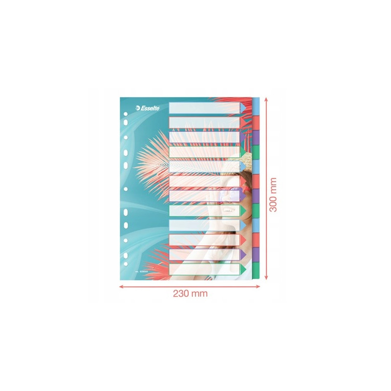 Przekładki Colour`Breeze PP A4 12 przekładek 628501 ESSELTE