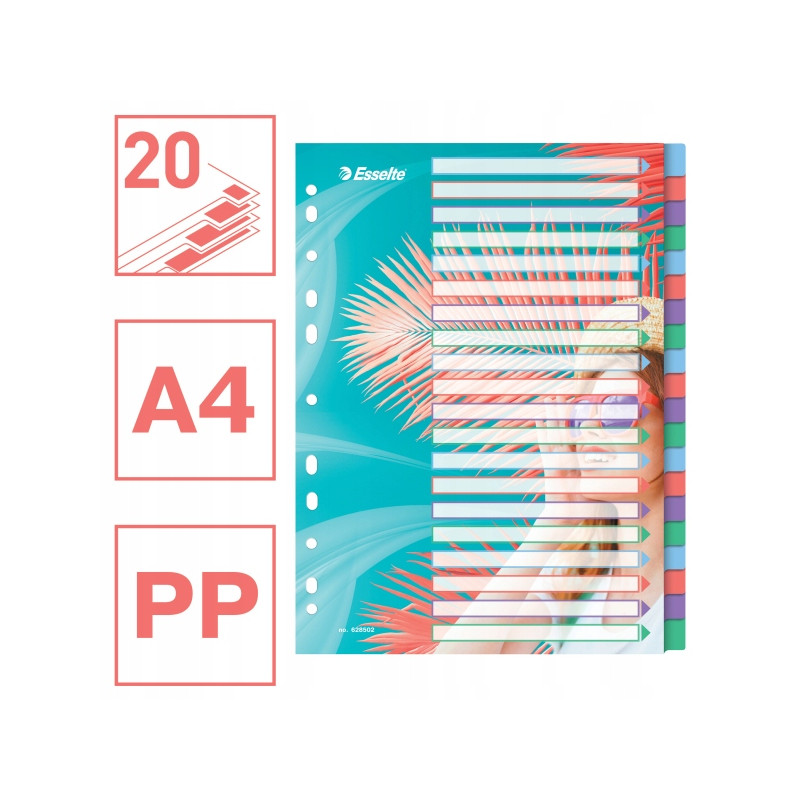 Przekładki Colour`Breeze PP A4 20 przekładek 628502 ESSELTE