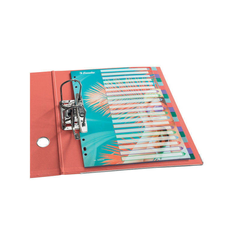 Przekładki Colour`Breeze PP A4 20 przekładek 628502 ESSELTE