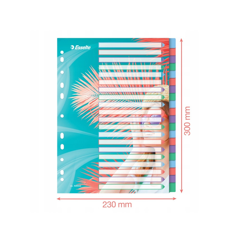 Przekładki Colour`Breeze PP A4 20 przekładek 628502 ESSELTE