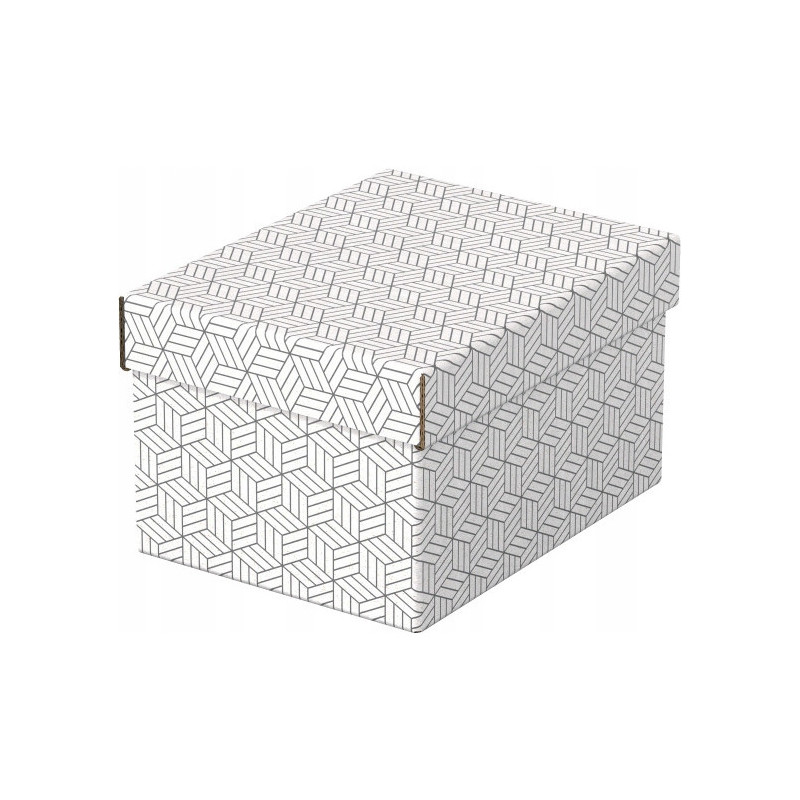 Pudełka domowe do przechowywania rozmiar S 3 sztuki białe 628280 ESSELTE